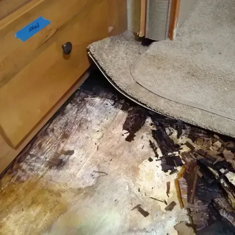 Wood Floor Water Damage in Valley, AL